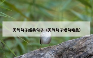 天气句子经典句子（天气句子短句唯美）
