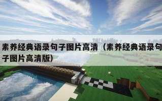素养经典语录句子图片高清（素养经典语录句子图片高清版）