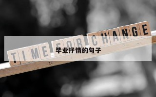 毕业抒情的句子