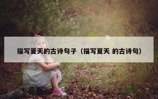 描写夏天的古诗句子（描写夏天 的古诗句）