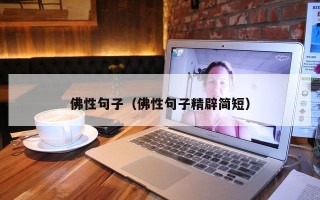 佛性句子（佛性句子精辟简短）