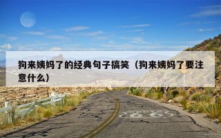 狗来姨妈了的经典句子搞笑（狗来姨妈了要注意什么）