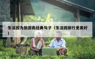 生活因为旅游而经典句子（生活因旅行更美好）
