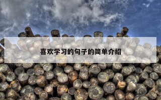 喜欢学习的句子的简单介绍