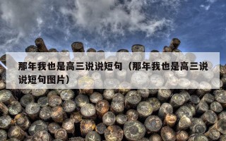 那年我也是高三说说短句（那年我也是高三说说短句图片）