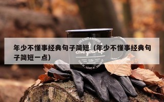 年少不懂事经典句子简短（年少不懂事经典句子简短一点）