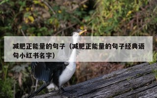 减肥正能量的句子（减肥正能量的句子经典语句小红书名字）