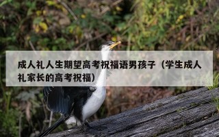 成人礼人生期望高考祝福语男孩子（学生成人礼家长的高考祝福）