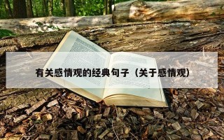 有关感情观的经典句子（关于感情观）