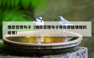 情感哲理句子（情感哲理句子带你穿越情绪的迷雾）