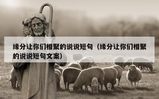 缘分让你们相聚的说说短句（缘分让你们相聚的说说短句文案）