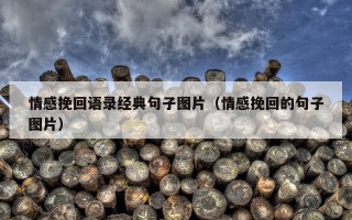 情感挽回语录经典句子图片（情感挽回的句子图片）