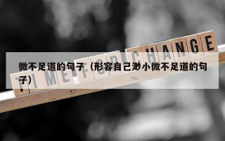 微不足道的句子（形容自己渺小微不足道的句子）