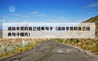 送给辛苦的自己经典句子（送给辛苦的自己经典句子图片）