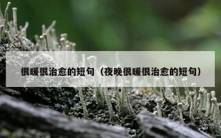 很暖很治愈的短句（夜晚很暖很治愈的短句）