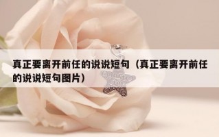 真正要离开前任的说说短句（真正要离开前任的说说短句图片）