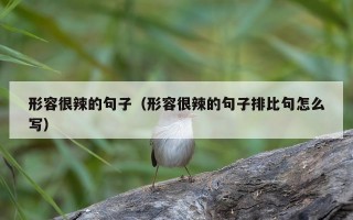 形容很辣的句子（形容很辣的句子排比句怎么写）