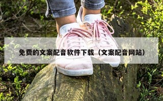 免费的文案配音软件下载（文案配音网站）