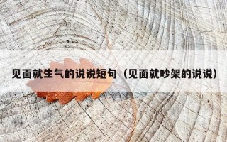 见面就生气的说说短句（见面就吵架的说说）