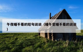 午夜睡不着的短句说说（睡午觉睡不着的说说）