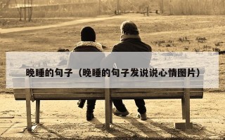 晚睡的句子（晚睡的句子发说说心情图片）