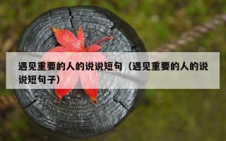 遇见重要的人的说说短句（遇见重要的人的说说短句子）