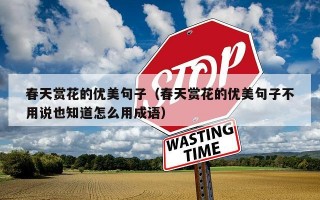 春天赏花的优美句子（春天赏花的优美句子不用说也知道怎么用成语）