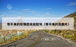 等不来的你情感说说短句（等不来的你图片）