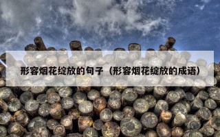 形容烟花绽放的句子（形容烟花绽放的成语）