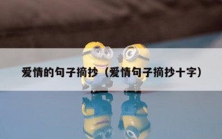 爱情的句子摘抄（爱情句子摘抄十字）
