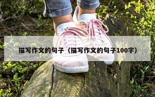 描写作文的句子（描写作文的句子100字）