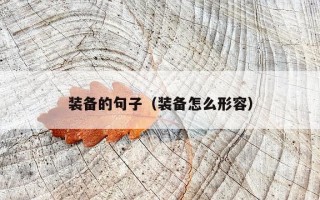 装备的句子（装备怎么形容）