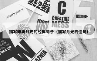 描写唯美月光的经典句子（描写月光的佳句）