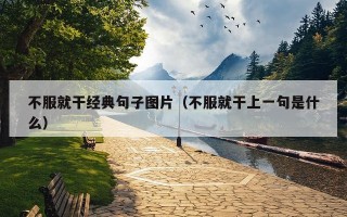 不服就干经典句子图片（不服就干上一句是什么）