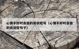 心情不好时自拍的说说短句（心情不好时自拍的说说短句子）