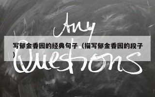 写郁金香园的经典句子（描写郁金香园的段子）