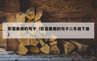 形容暴雨的句子（形容暴雨的句子二年级下册）
