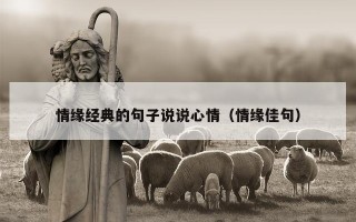情缘经典的句子说说心情（情缘佳句）