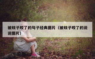 被蚊子咬了的句子经典图片（被蚊子咬了的说说图片）
