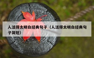 人活得太明白经典句子（人活得太明白经典句子简短）