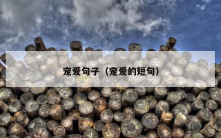 宠爱句子（宠爱的短句）