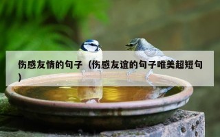 伤感友情的句子（伤感友谊的句子唯美超短句）