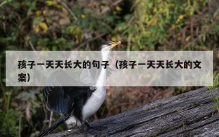 孩子一天天长大的句子（孩子一天天长大的文案）
