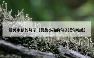 赞美小孩的句子（赞美小孩的句子短句唯美）
