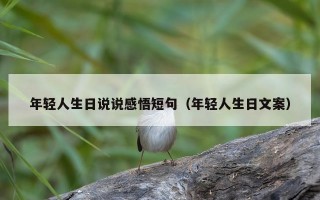 年轻人生日说说感悟短句（年轻人生日文案）
