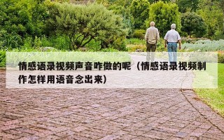 情感语录视频声音咋做的呢（情感语录视频制作怎样用语音念出来）