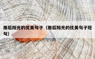 雨后阳光的优美句子（雨后阳光的优美句子短句）