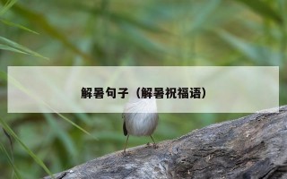 解暑句子（解暑祝福语）