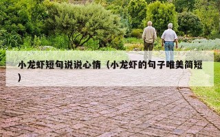 小龙虾短句说说心情（小龙虾的句子唯美简短）