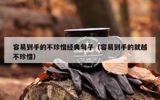 容易到手的不珍惜经典句子（容易到手的就越不珍惜）